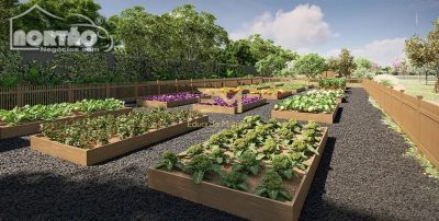 Casa, 300 m² - Foto 3