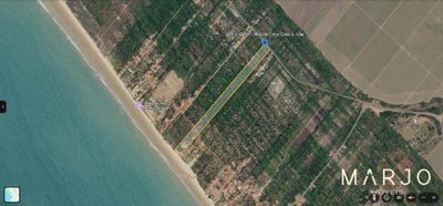 Terreno, 7 hectares - Foto 3