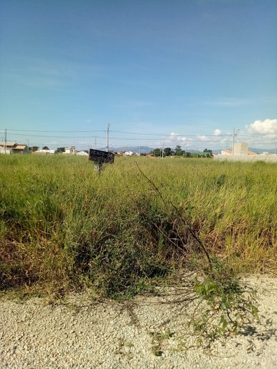 Terreno, 250 m² - Foto 1