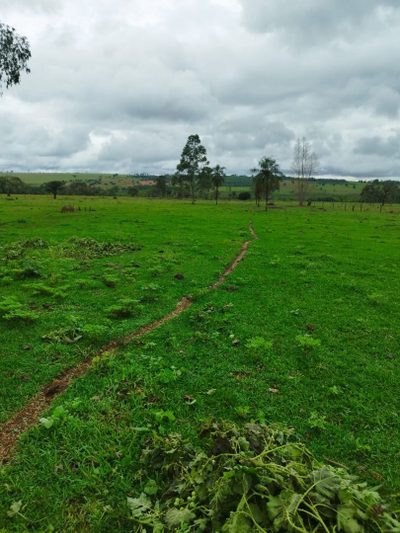 Sítio, 15 hectares - Foto 1