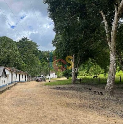 Sítio, 1 quarto, 95 hectares - Foto 2