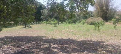 Casa, 2 quartos, 90 m² - Foto 5