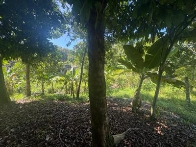 Fazenda, 750 m² - Foto 3