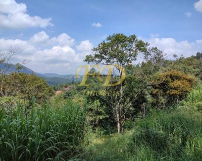 Chácara, 3 quartos, 8000 m² - Foto 5