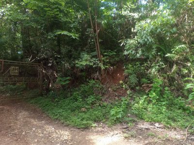 Loteamento e Condomínio, 90 hectares - Foto 3