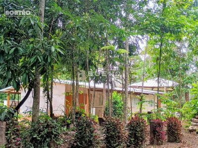 Casa, 4 quartos, 323 m² - Foto 3