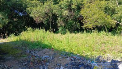 Terreno, 539 m² - Foto 1