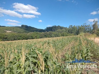 Terreno, 8 hectares - Foto 2