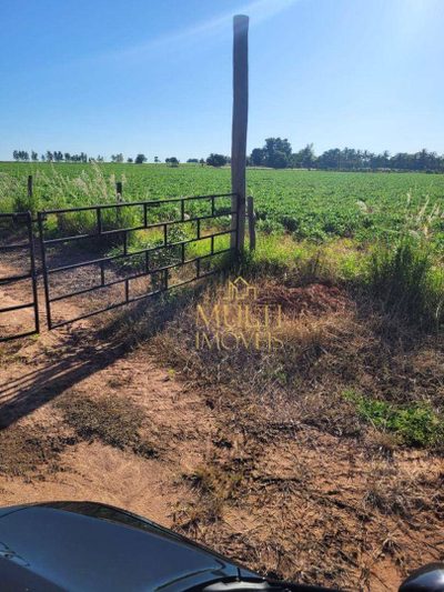 Sítio, 31 hectares - Foto 4