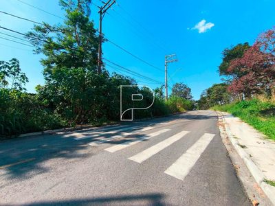 Terreno, 4 hectares - Foto 1