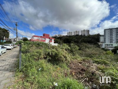 Terreno, 1341 m² - Foto 4