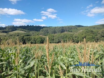 Terreno, 8 hectares - Foto 1