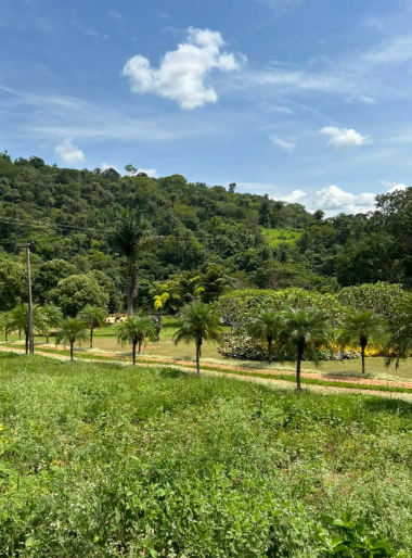 Chácara, 1 quarto, 3 hectares - Foto 2