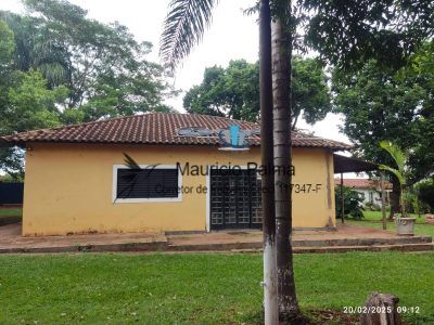 Terreno, 3 hectares - Foto 4