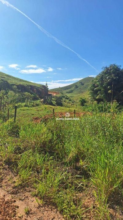 Terreno, 7 hectares - Foto 4