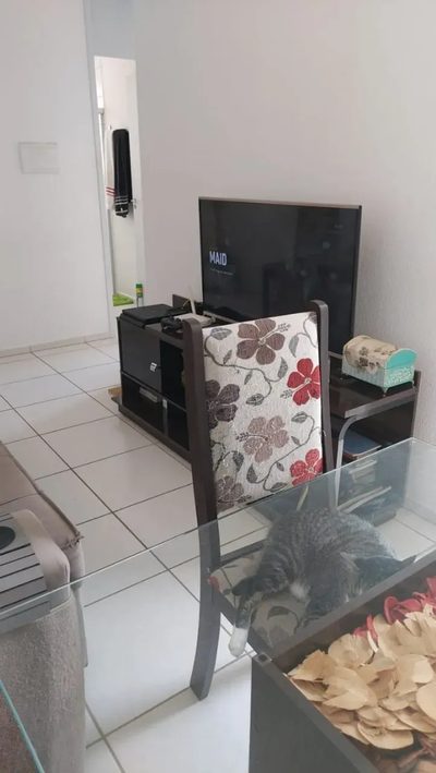 Apartamento, 2 quartos, 49 m² - Foto 1