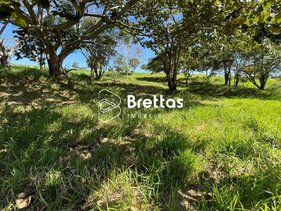 Terreno, 600 m² - Foto 5
