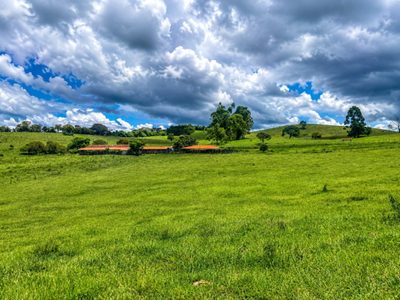 Fazenda, 153 hectares - Foto 1
