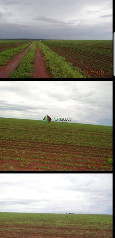 Terreno, 2 hectares - Foto 2