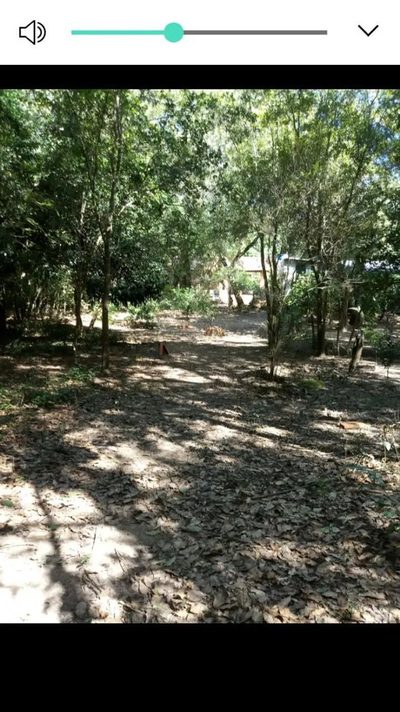 Casa, 1000 m² - Foto 5