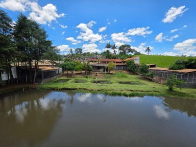 Chácara, 3 quartos, 4000 m² - Foto 1