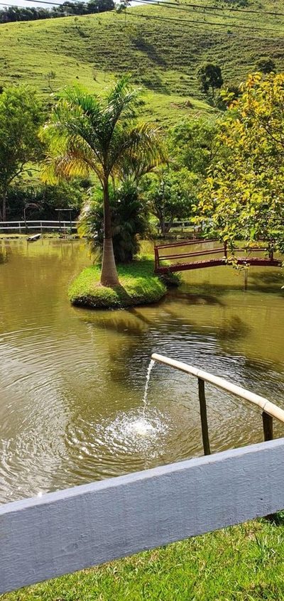 Sítio, 3 quartos, 300 m² - Foto 2