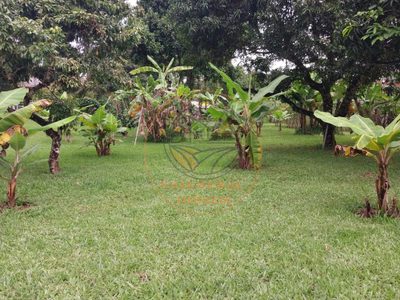 Chácara, 3 quartos, 10000 m² - Foto 4