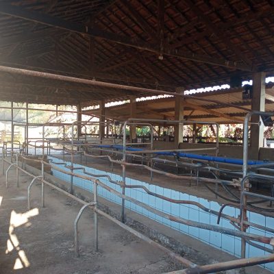 Fazenda, 120 hectares - Foto 3