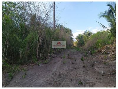 Fazenda, 1100 m² - Foto 1