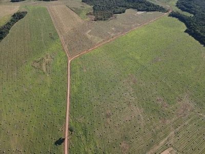 Fazenda, 1800 hectares - Foto 3