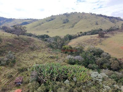 Fazenda, 59 hectares - Foto 4