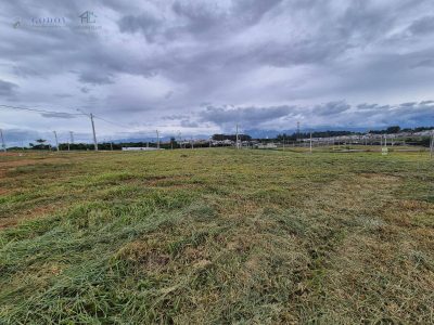 Terreno, 250 m² - Foto 4