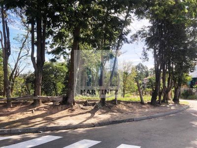 Terreno, 9000 m² - Foto 4
