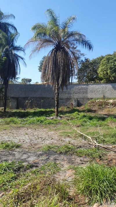 Terreno, 5000 m² - Foto 2