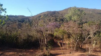 Chácara, 1 quarto - Foto 5