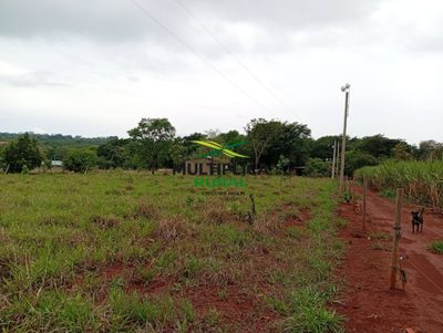 Chácara, 5 quartos, 2 m² - Foto 4