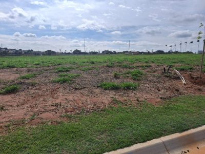 Terreno, 250 m² - Foto 3