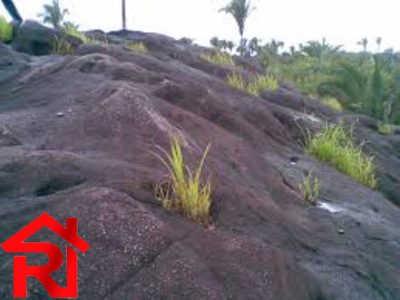 Loteamento e Condomínio, 700 hectares - Foto 1