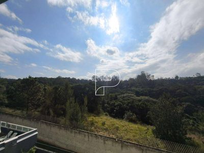 Casa, 4 quartos, 350 m² - Foto 2