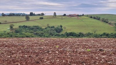 Sítio, 1 quarto, 8 hectares - Foto 1