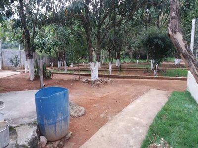Chácara, 3 quartos, 4900 m² - Foto 5