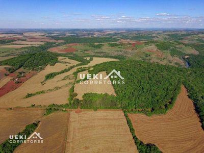 Sítio, 24 hectares - Foto 2