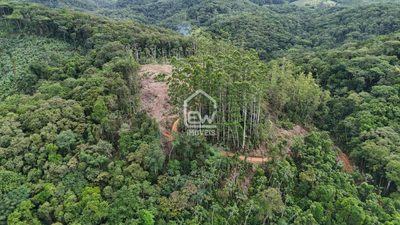 Sítio, 1 quarto, 8 hectares - Foto 4