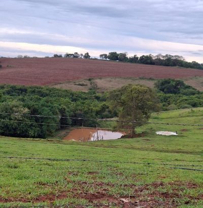 Sítio, 1 quarto, 8 hectares - Foto 2