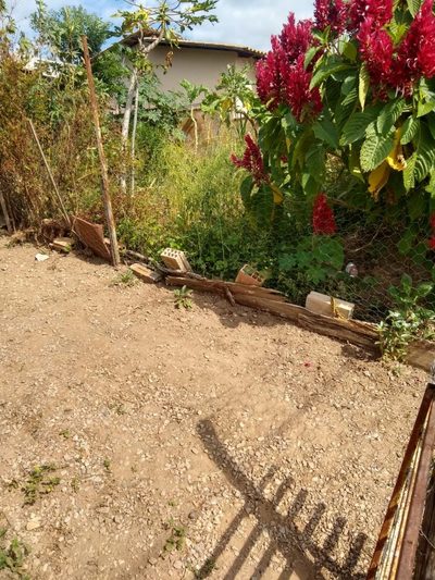 Terreno, 360 m² - Foto 5