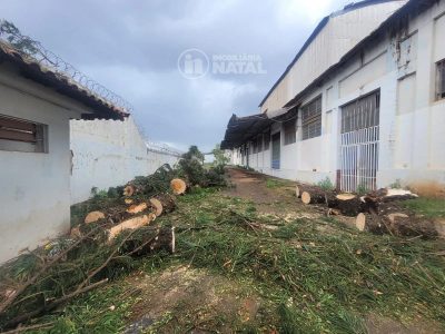 Depósito-Galpão, 3000 m² - Foto 2
