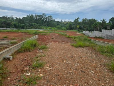 Terreno, 10000 m² - Foto 4