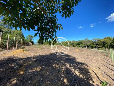 Terreno, 2540 m² - Foto 5