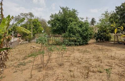 Terreno, 1000 m² - Foto 2