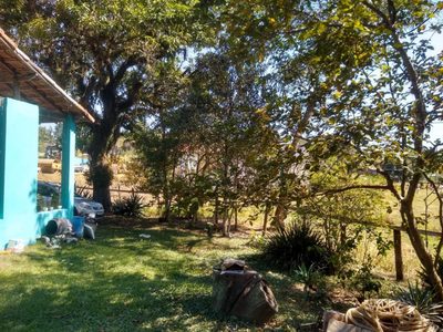 Chácara, 3 quartos, 1 hectares - Foto 4